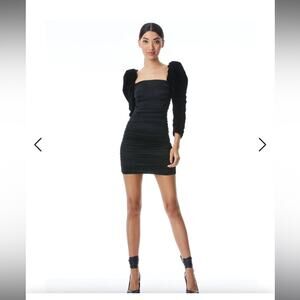 Alice & Olivia KATRICE VELVET PUFF SLEEVE MINI DRESS